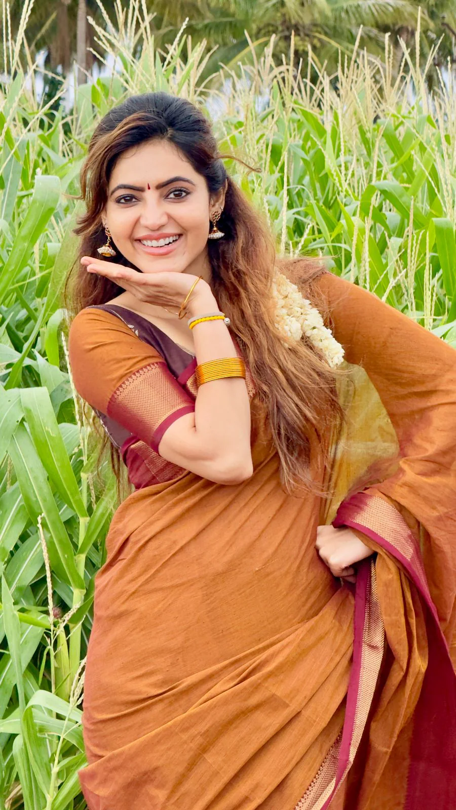 Ashwi~Chettinad Cotton saree - Image 5